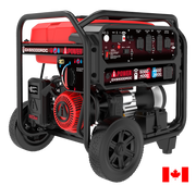 GXS5000RDC - Remote Dual Fuel Generator