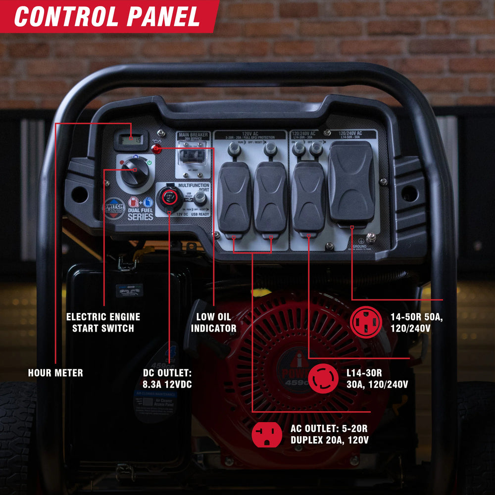 SUA12000ED - 12000 Watt Dual Fuel Portable Generator